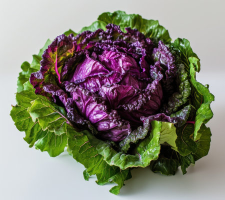 a purple and green leafy vegetableの素材