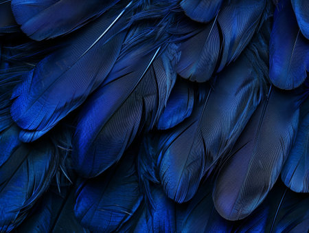 Close-up of Vibrant Blue Feathersの素材