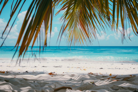 Tropical Beach View through Palm Leavesの素材