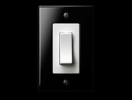 Modern light switch on a black wall plateの素材