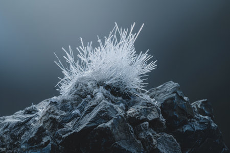 Icy Crystals on Rocksの素材