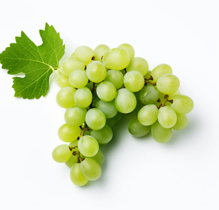 Fresh green grapes with leafの素材