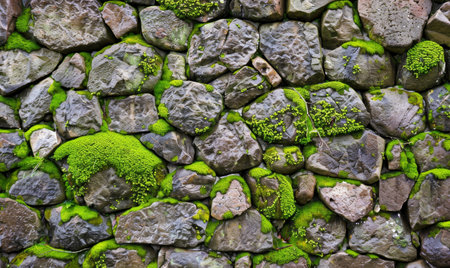 Moss-covered stone wall in a lush, natural settingの素材