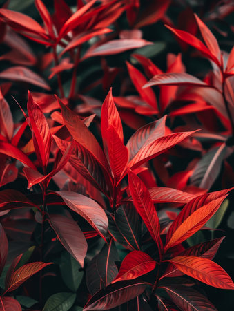Vibrant red tropical leavesの素材