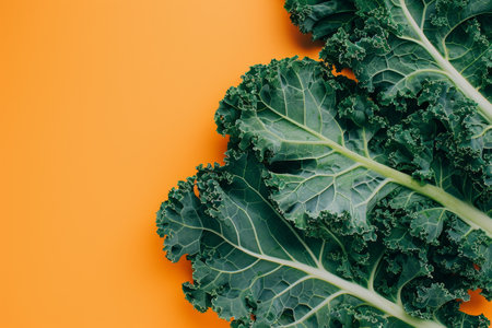 Vibrant green kale leaves on an orange backgroundの素材