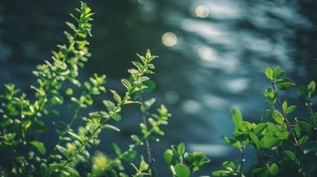 Lush green foliage with blurred water backgroundの素材