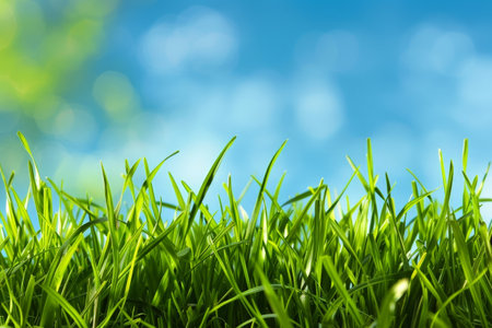 lush green grass under a blue sky with cloudsの素材