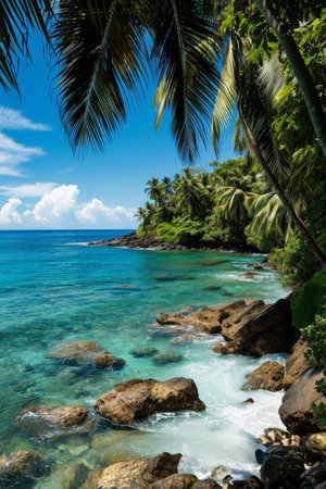 Tropical paradise with palm trees and turquoise watersの素材