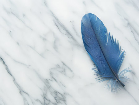 Blue feather on marble backgroundの素材