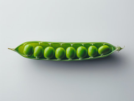 Fresh green pea pod on plain backgroundの素材