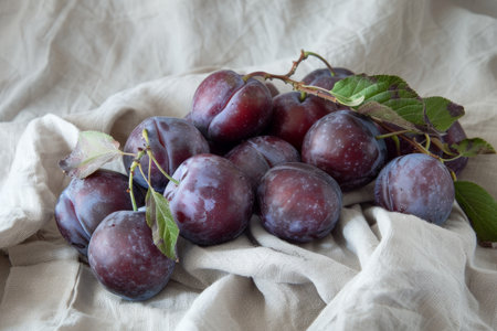 Freshly picked plums on a white clothの素材