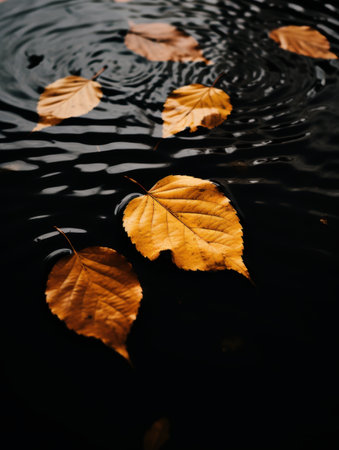 Autumn leaves floating on dark waterの素材