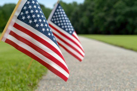 american flags waving on grass fieldの素材