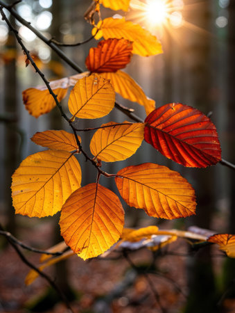 Vibrant autumn leaves on a branchの素材
