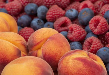 Delicious assortment of fresh summer fruitsの素材