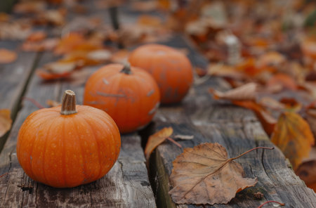 Autumn pumpkins and leaves on rustic wooden backgroundの素材