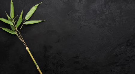 green bamboo leaves on black backgroundの素材