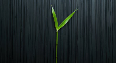 green bamboo plant against black backgroundの素材