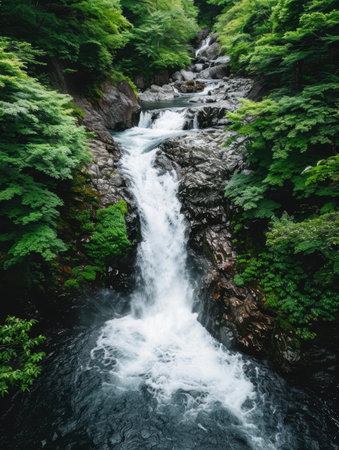 Cascading waterfall in lush green forestの素材