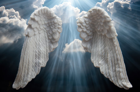 Angelic wings in the skyの素材