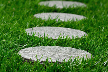 Stepping stones in green grassの素材