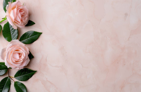 pink roses on a marble backgroundの素材