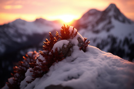 Snowy mountain landscape at sunsetの素材