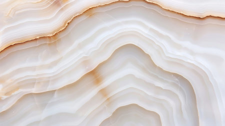 Elegant natural stone patternの素材