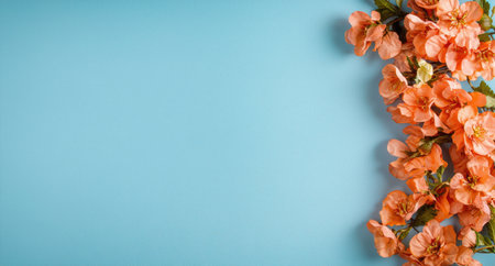 vibrant orange flowers on teal backgroundの素材