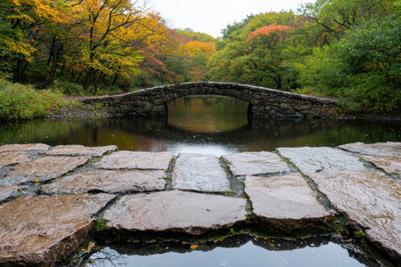 Scenic autumn landscape with stone bridge over pondの素材