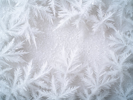 Frosty winter wonderlandの素材