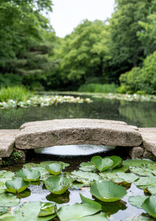Serene pond with lily pads and lush greeneryの素材