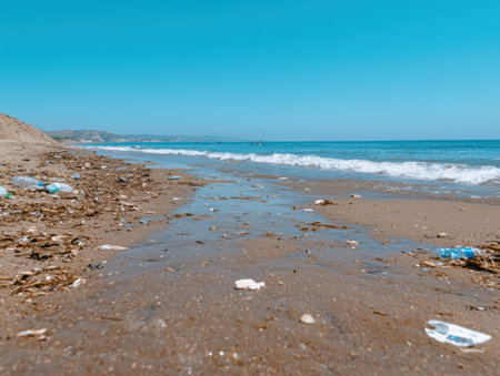 scenic beach with waves and litterの素材