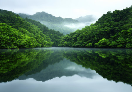 Serene mountain lake surrounded by lush green forestの素材