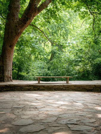 Peaceful forest bench in tranquil nature settingの素材