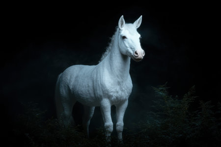 Majestic white horse in dark forestの素材
