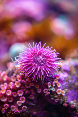 Vibrant purple flower close-upの素材