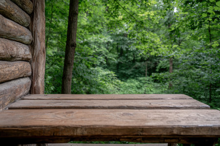 Rustic wooden bench in lush forestの素材