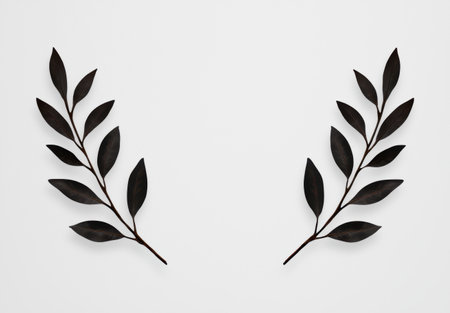 elegant black leaves on white backgroundの素材