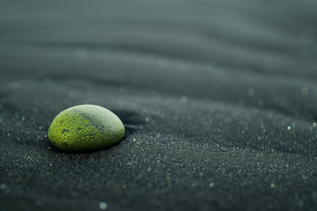 Solitary green pebble on dark beachの素材
