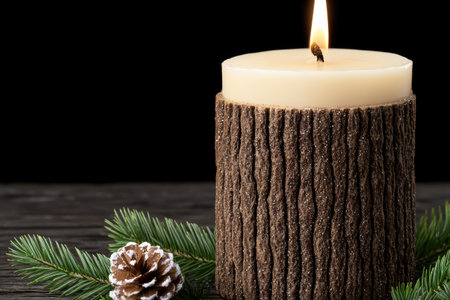 Cozy winter candle with pine branchesの素材