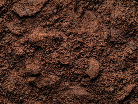 Closeup of rich, fertile soil textureの素材