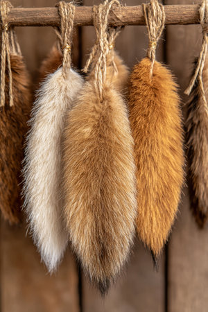 Fur pelts hanging on wooden frameの素材
