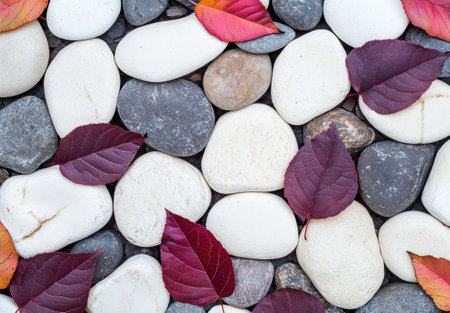 Autumn leaves and smooth stonesの素材