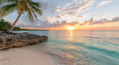 Tropical beach paradise at sunsetの素材