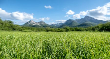Lush green meadow with majestic mountain rangeの素材