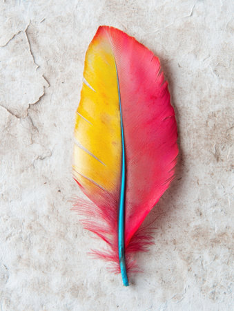 Vibrant feather on textured backgroundの素材