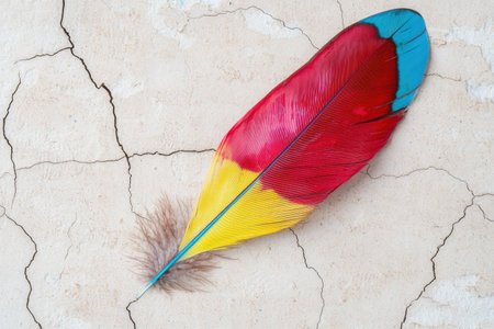 Vibrant parrot feather on cracked surfaceの素材