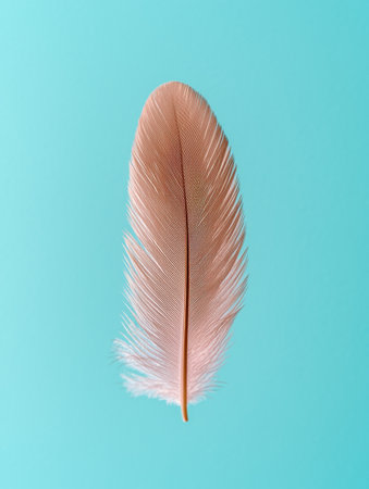 Delicate feather against a vibrant turquoise backgroundの素材