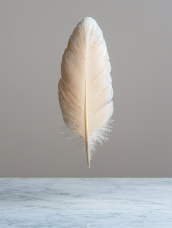 Delicate feather floating above marble surfaceの素材